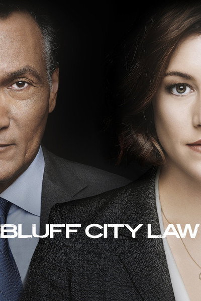 Póster de Bluff City Law