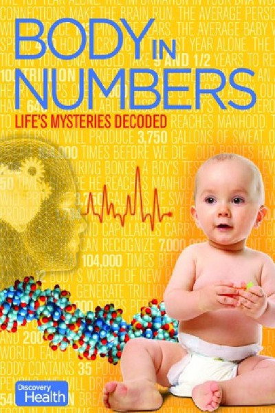 Póster de Body in Numbers