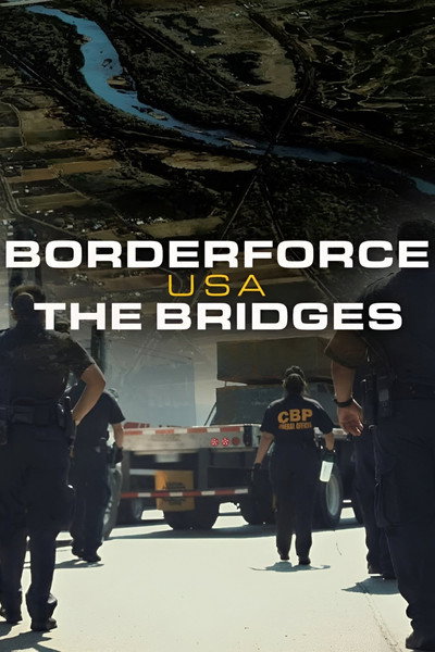 Póster de Borderforce USA: The Bridges