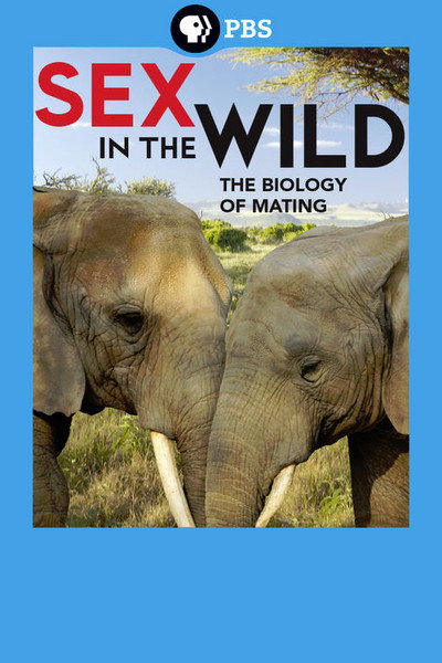 Póster de Born in the Wild