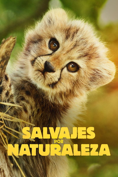 Póster de Born to Be Wild