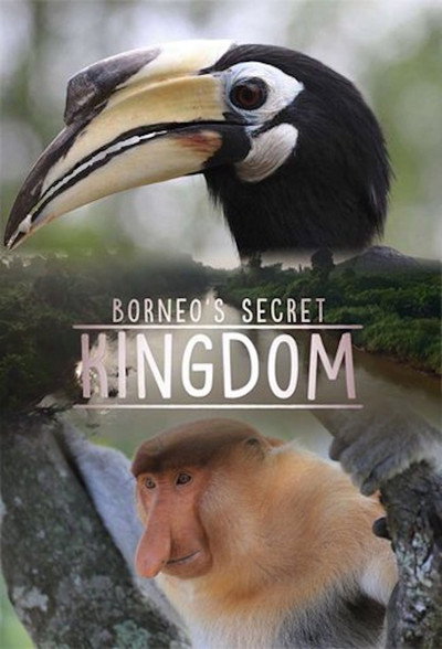 Póster de Borneo's Secret Kingdom