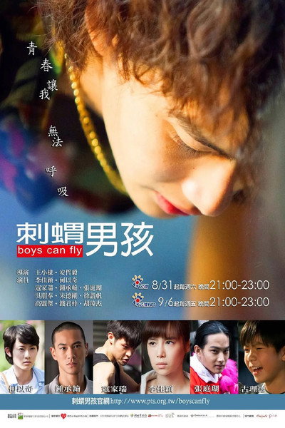 Póster de Boys Can Fly