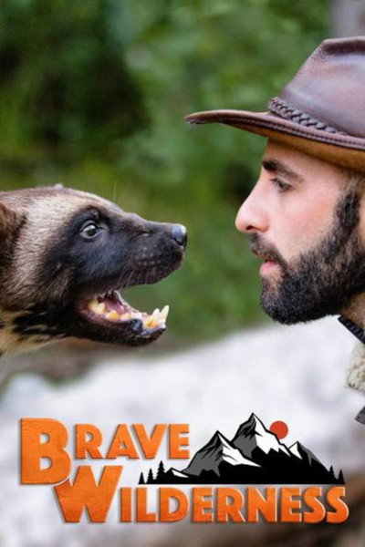 Póster de Brave Wilderness