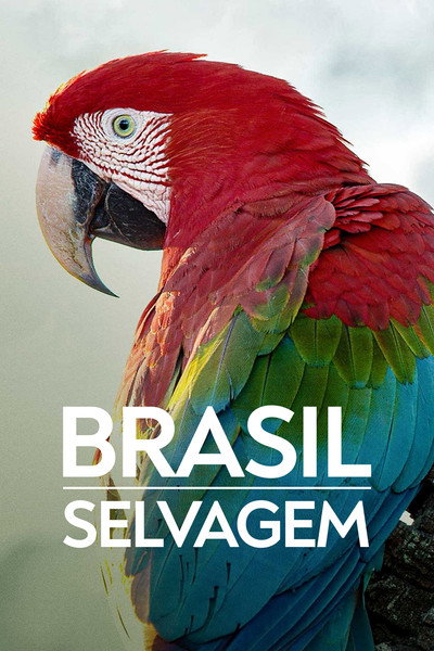Póster de Brazil Untamed