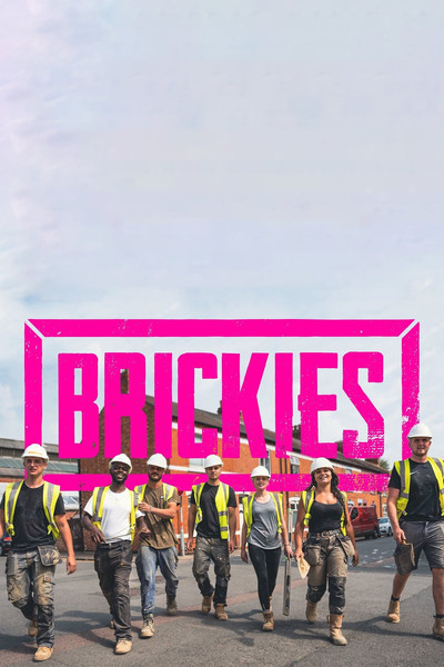 Póster de Brickies