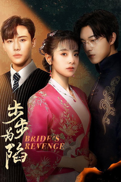 Póster de Bride's Revenge