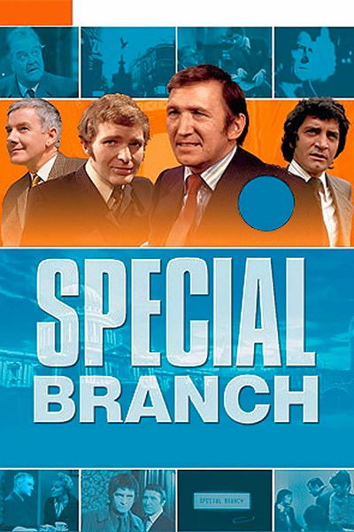 Póster de Brigada especial