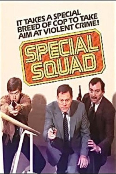 Póster de Brigada especial