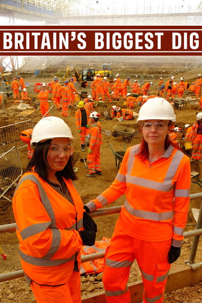 Póster de Britain's Biggest Dig