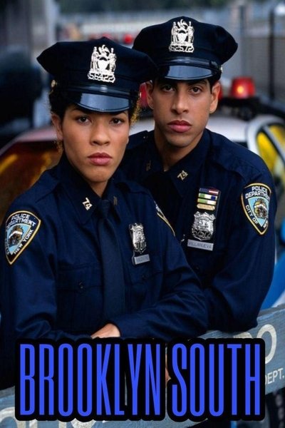 Póster de Brooklyn Sur