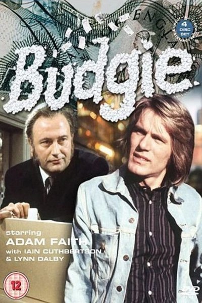 Póster de Budgie