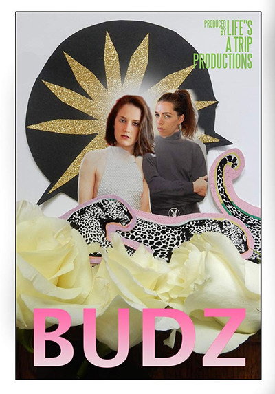 Póster de Budz
