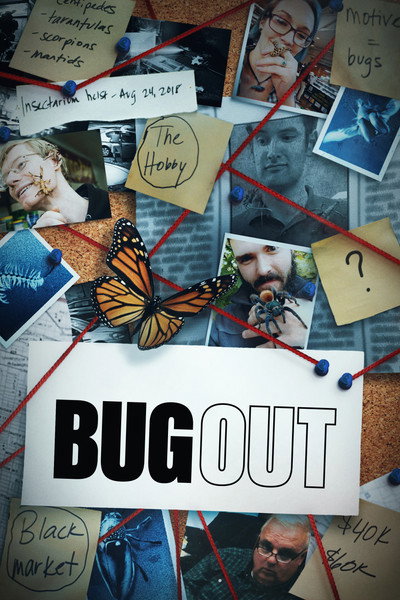 Póster de Bug Out