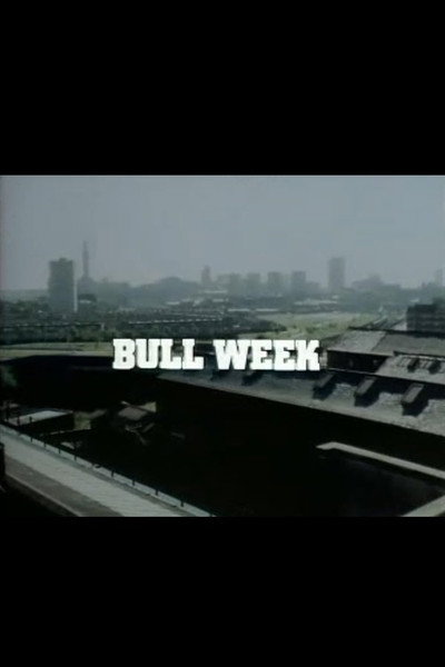 Póster de Bull Week
