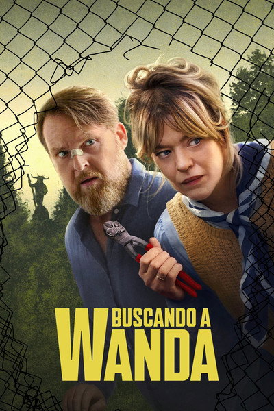 Póster de Buscando a Wanda
