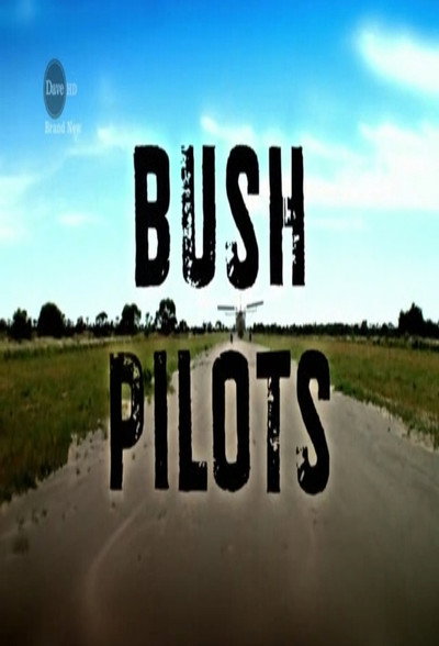Póster de Bush Pilots
