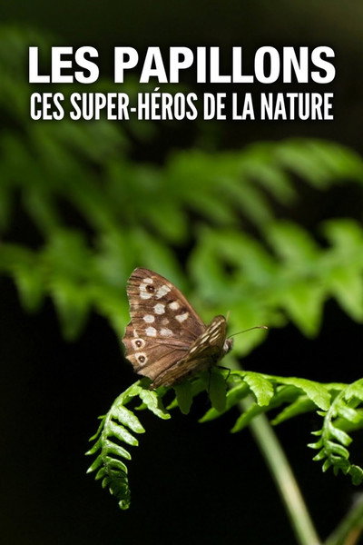 Póster de Butterflies: Superheroes of Nature
