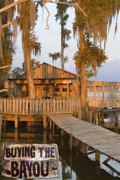 Póster de Buying the Bayou