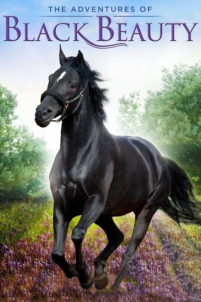 Póster de Caballo negro
