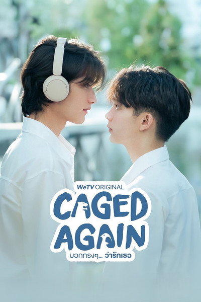 Póster de Caged Again