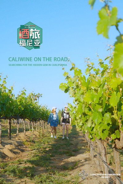 Póster de Caliwine on the Road