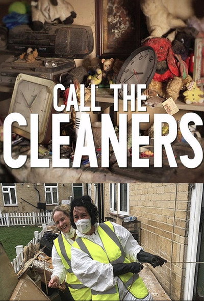 Póster de Call the Cleaners
