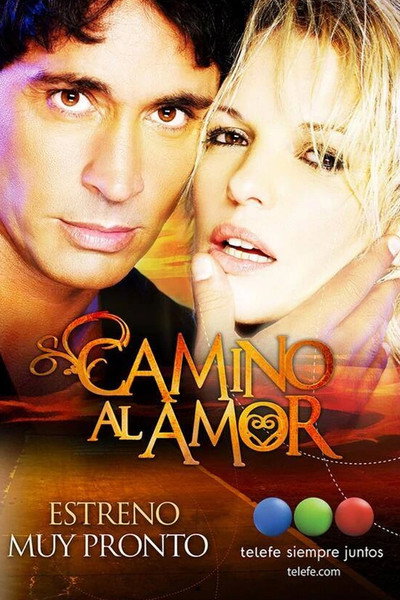 Póster de Camino al amor