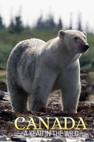 Póster de Canada: A Year in the Wild