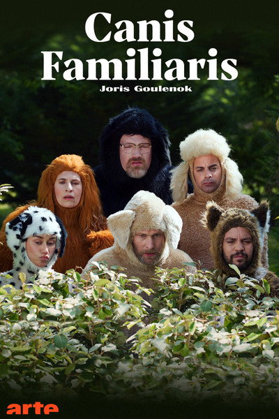 Póster de Canis Familiaris