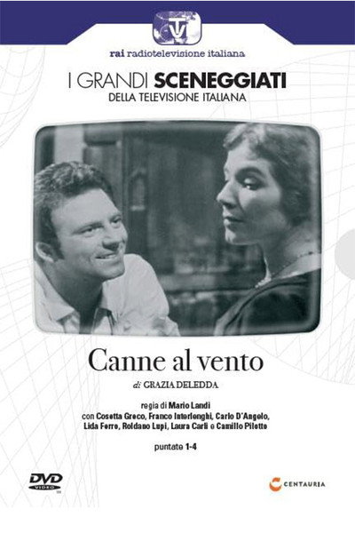 Póster de Canne al vento