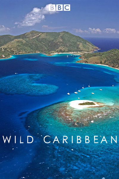 Póster de Caribe salvaje