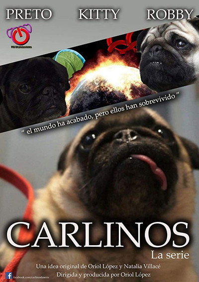 Póster de Carlinos, la serie