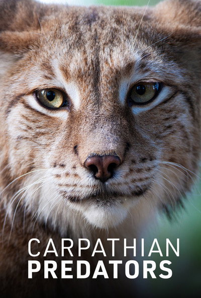 Póster de Carpathian Predators
