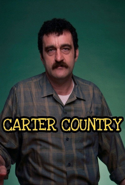 Póster de Carter Country
