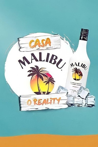 Póster de Casa Malibu