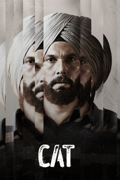 Póster de Cat