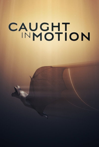Póster de Caught in Motion