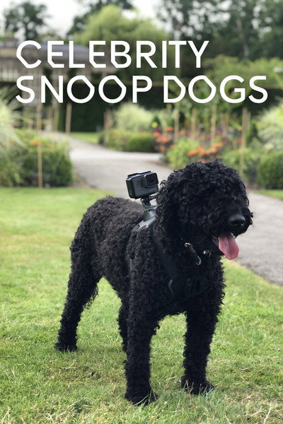 Póster de Celebrity Snoop Dogs