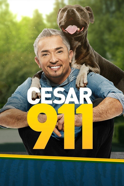 Póster de Cesar 911