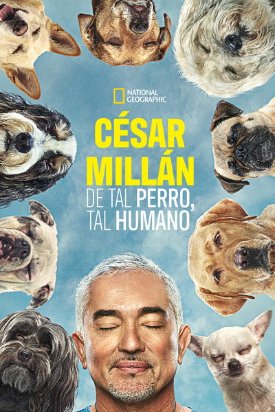 Póster de Cesar Millan: Better Human Better Dog