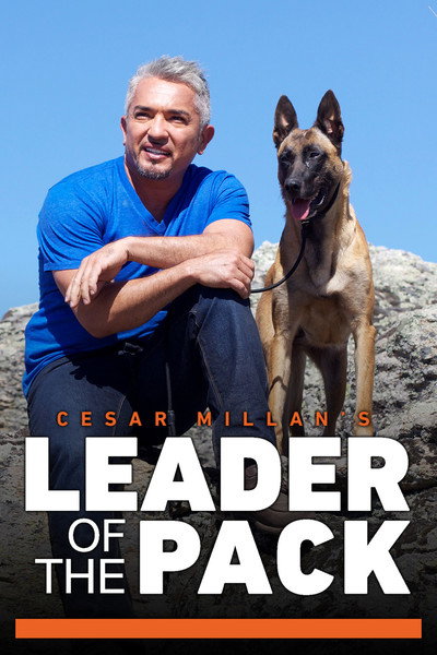 Póster de Cesar Millan's Leader of the Pack