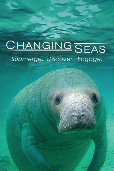 Póster de Changing Seas