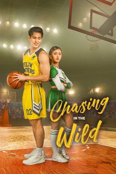 Póster de Chasing in the Wild