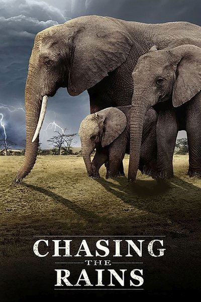 Póster de Chasing the Rains