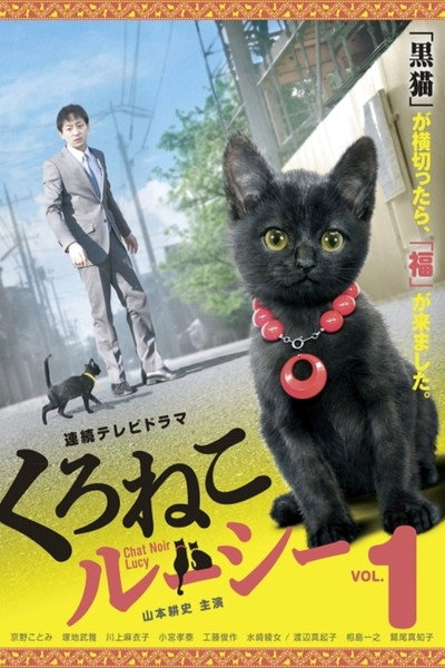 Póster de Chat Noir Lucy