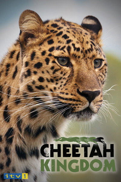 Póster de Cheetah Kingdom
