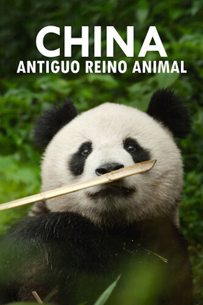 Póster de China: Nature's Ancient Kingdom