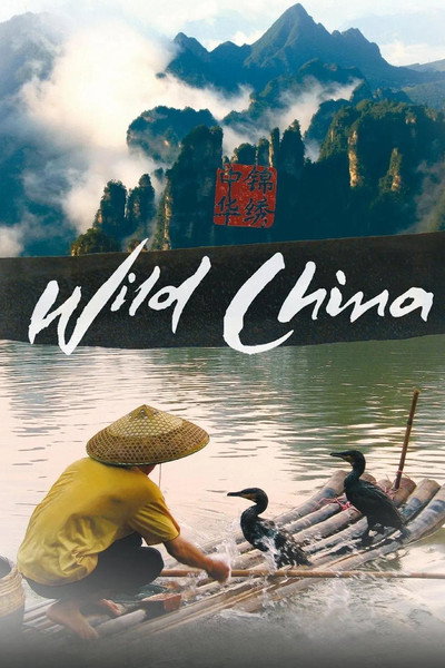 Póster de China salvaje
