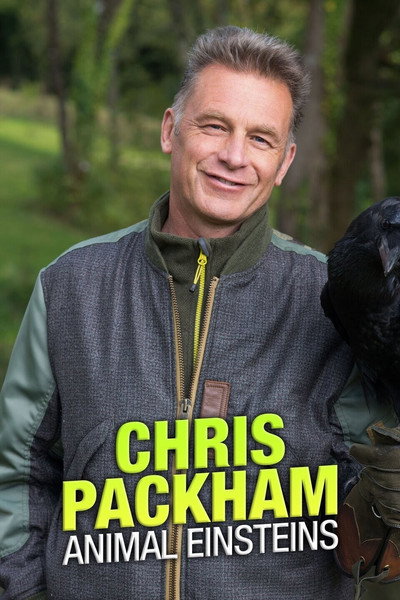 Póster de Chris Packham's Animal Einsteins